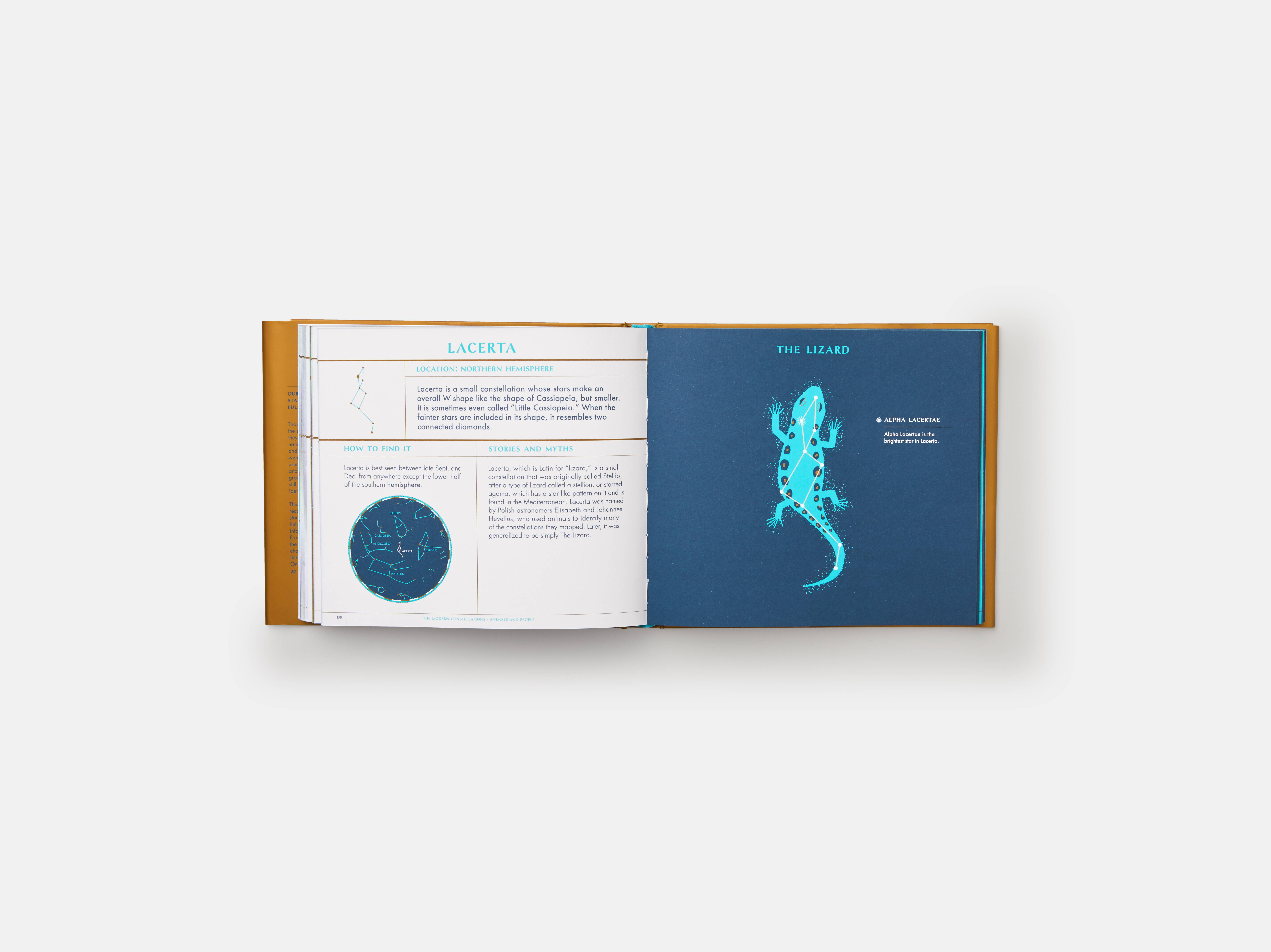 Meet The Phaidon Kids illustrator - Sara Gillingham