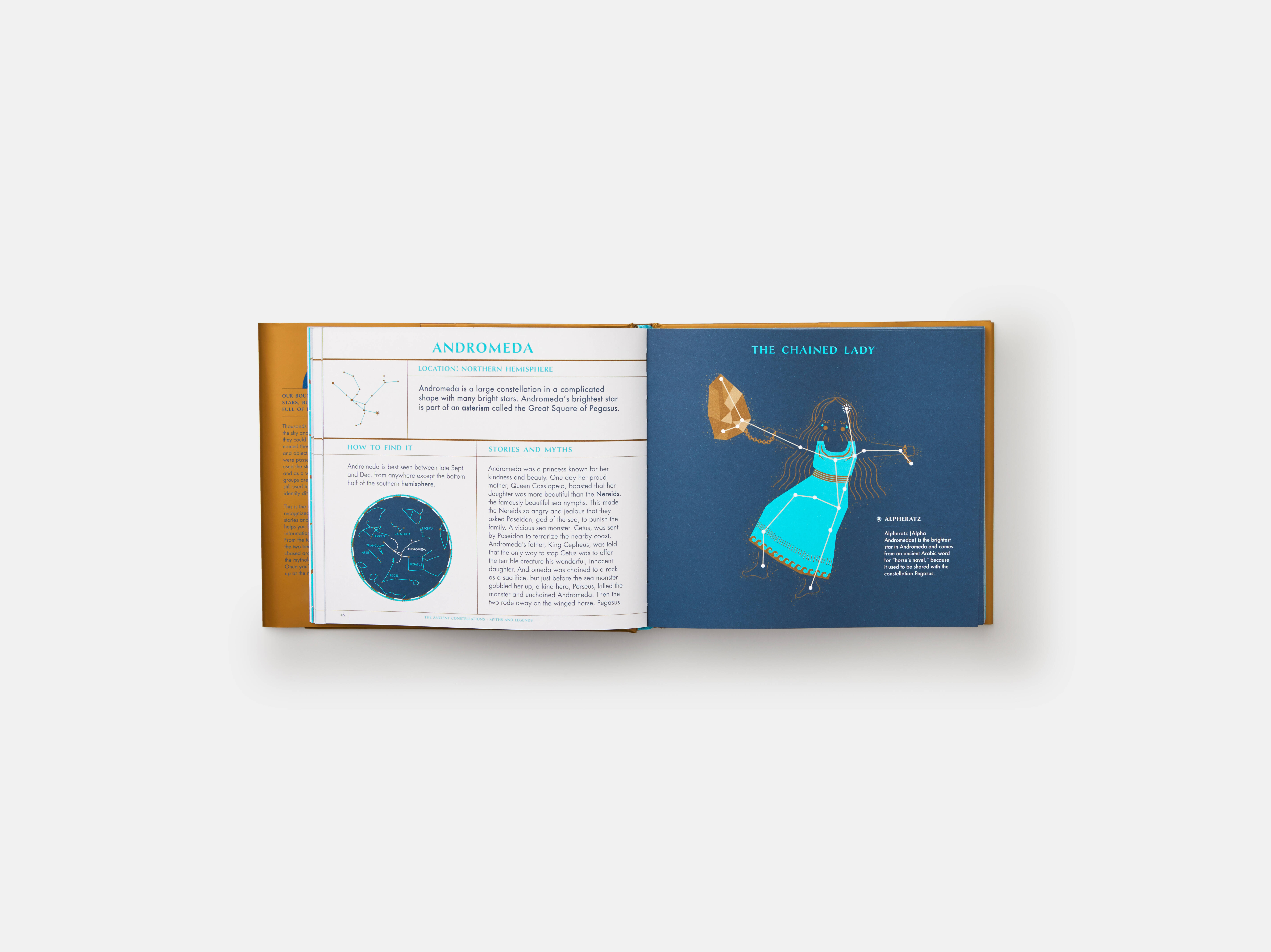 Meet The Phaidon Kids illustrator - Sara Gillingham