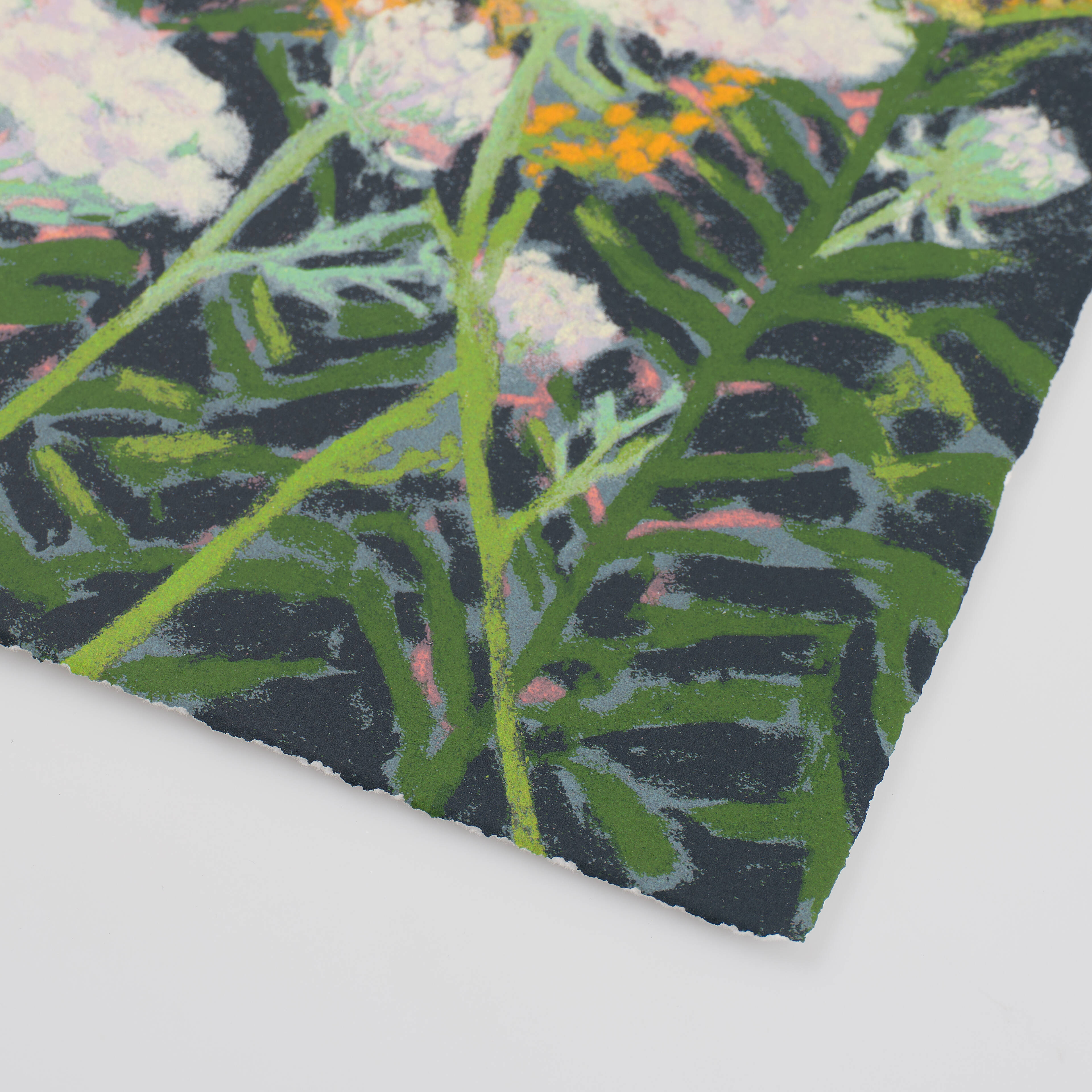 ‘When I'm looking at the flowers, they almost feel like moving jewellery’ Nicole Wittenberg on her new edition Golden Rod and Queen Anne’s Lace, 2025.