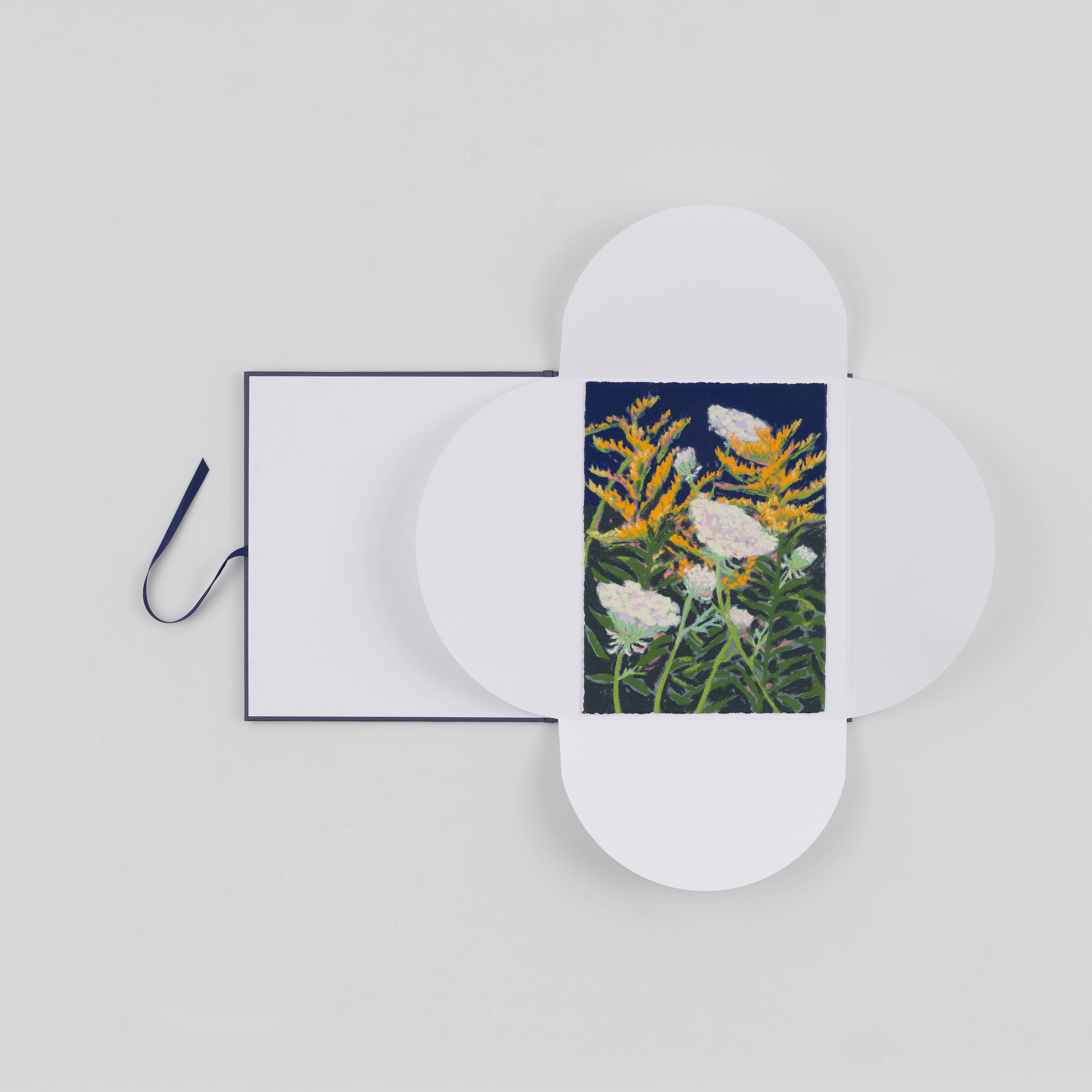 ‘When I'm looking at the flowers, they almost feel like moving jewellery’ Nicole Wittenberg on her new edition Golden Rod and Queen Anne’s Lace, 2025.
