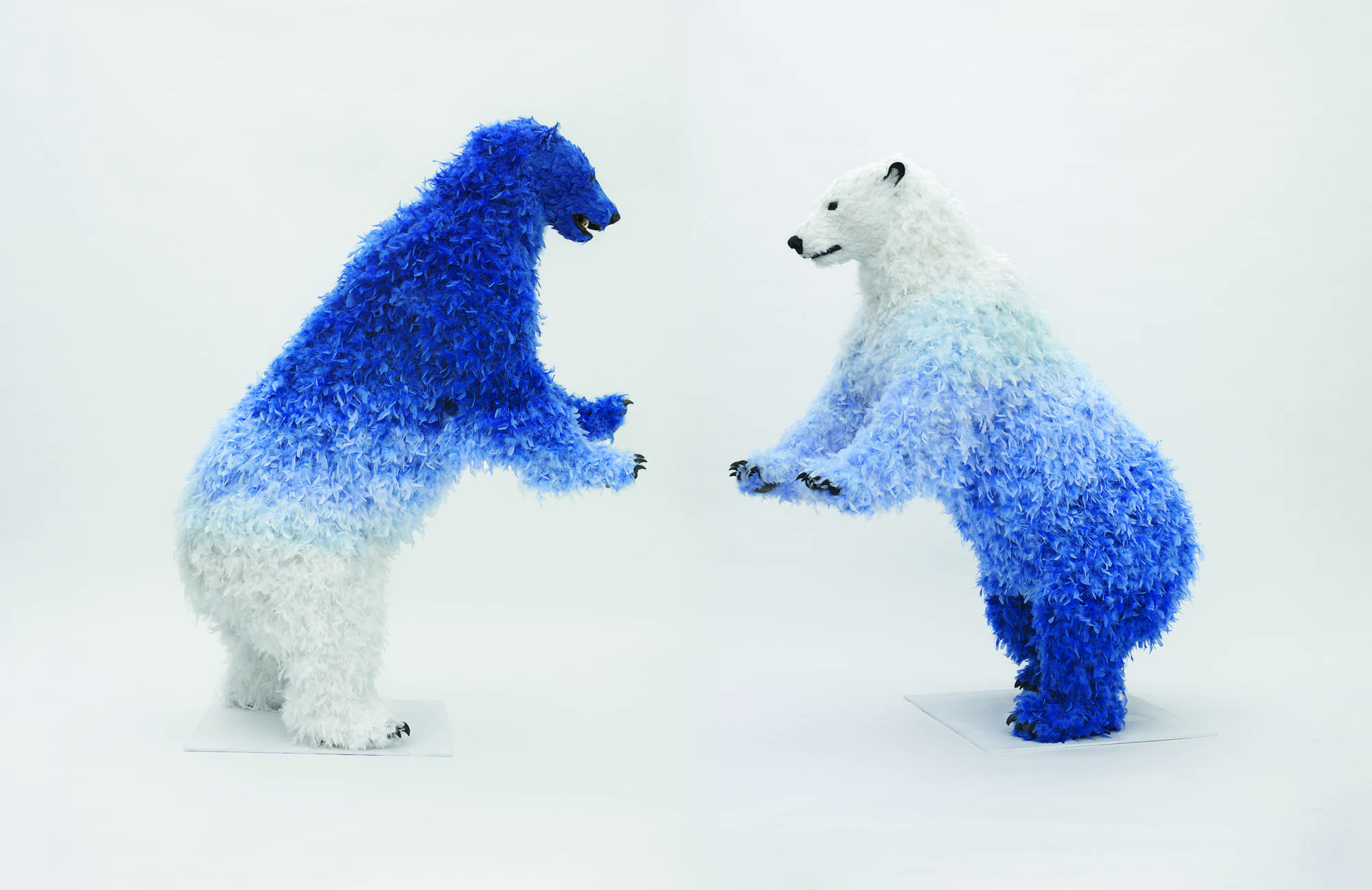 The dark truth about Paola Pivi’s brightly coloured bears