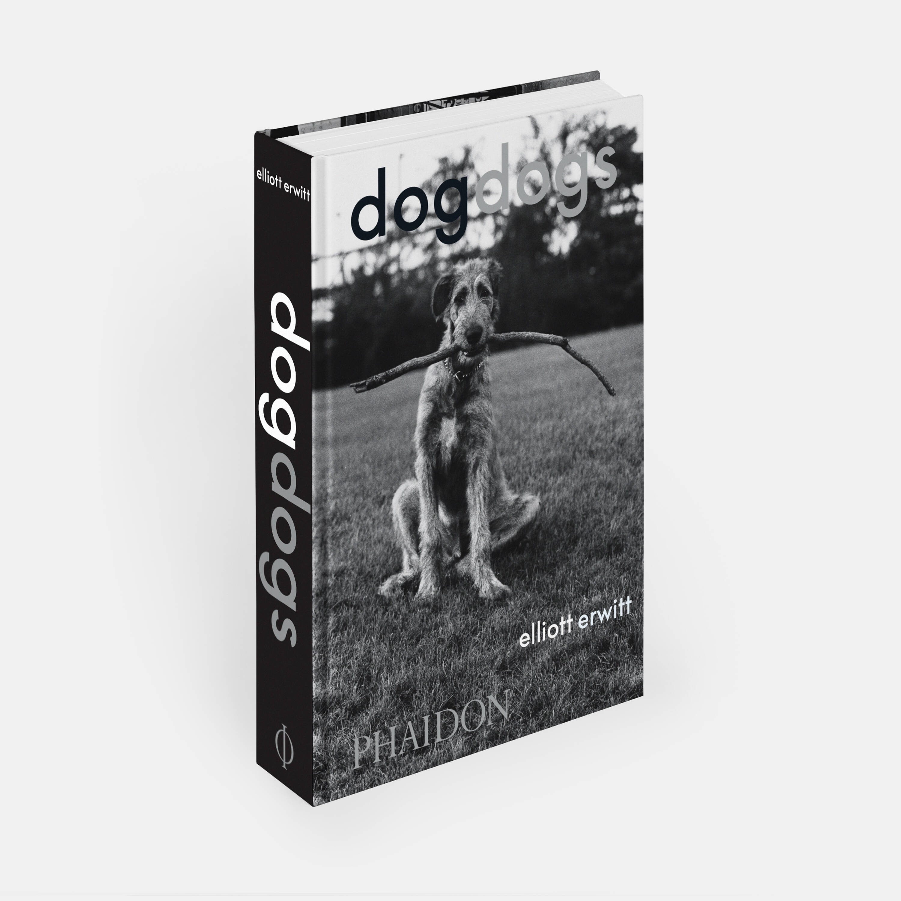 New Books for the New Year: Elliott Erwitt: dogdogs