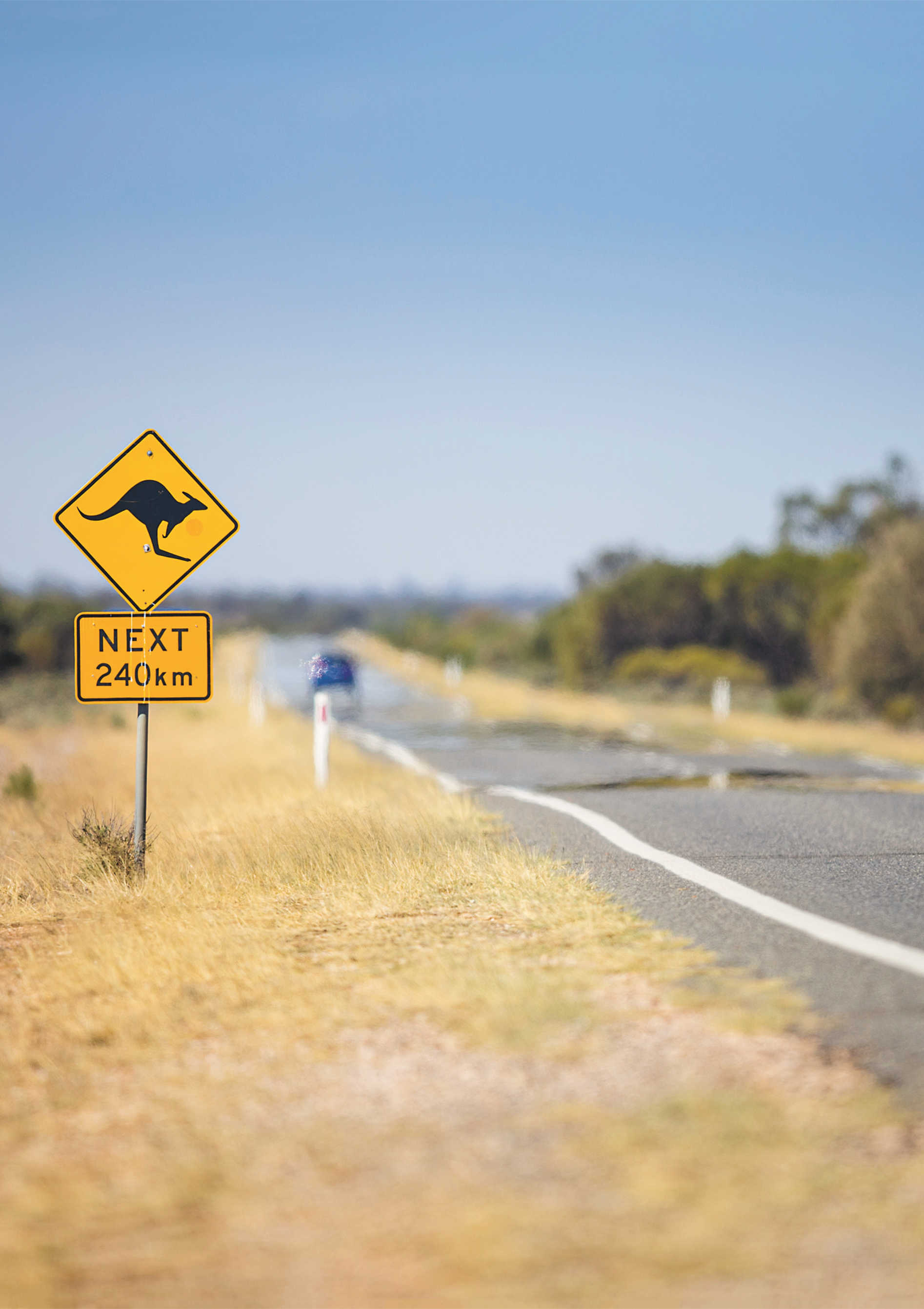 A landscape image, from Australia: The Cookbook. Photograph by Alan Benson