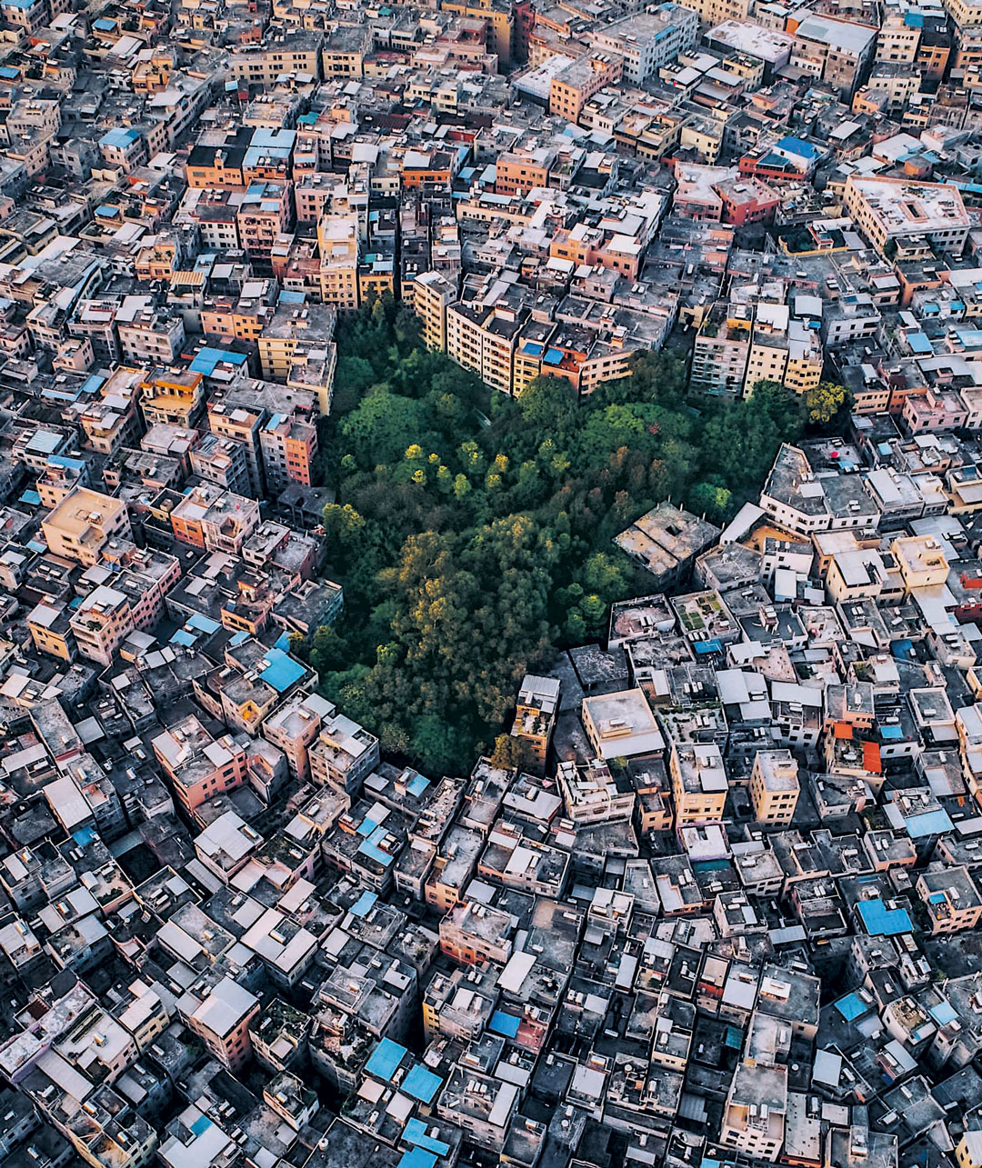 Guangzhou, Guangdong Province, China. An extreme example of a hyper-dense city where population size has increased fivefold since 1990. Many Chinese cities are designed to maximize density in order to boost productivity and efficiency. Photo by Xin Zhang