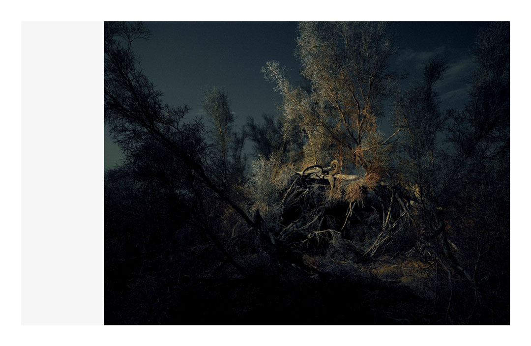 A photograph from Fabien Baron’s Nocturne series, 2012