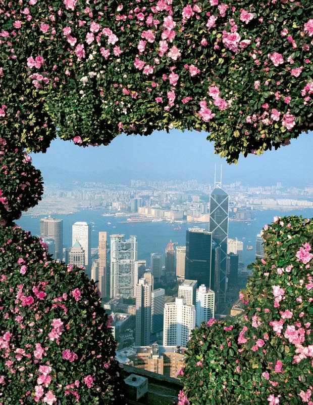 Belgian Consulate Rooftop, Hong Kong. From Daniel Ost