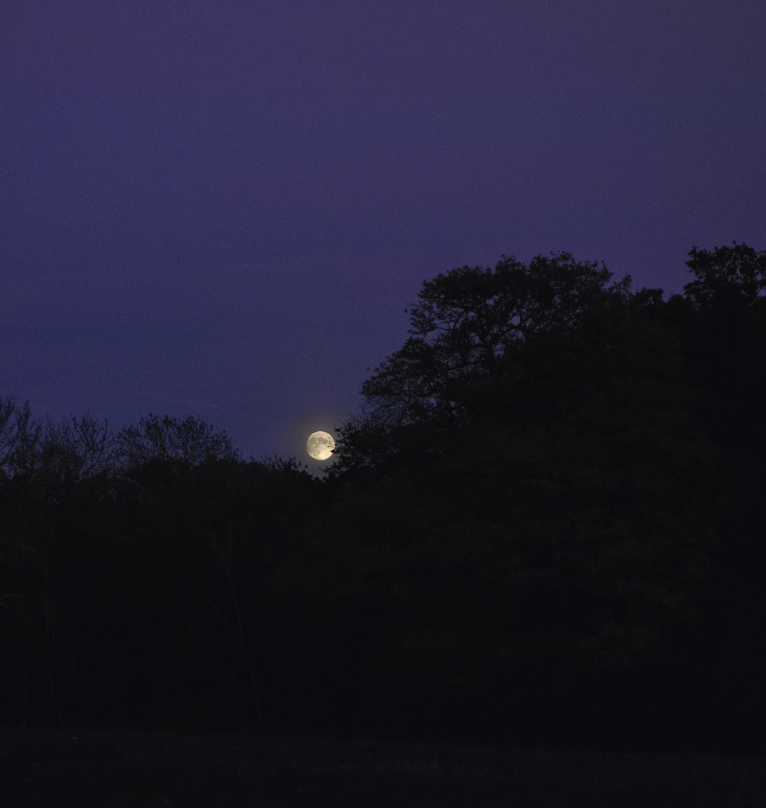 Turners Hill, West Sussex, UK, November 2013