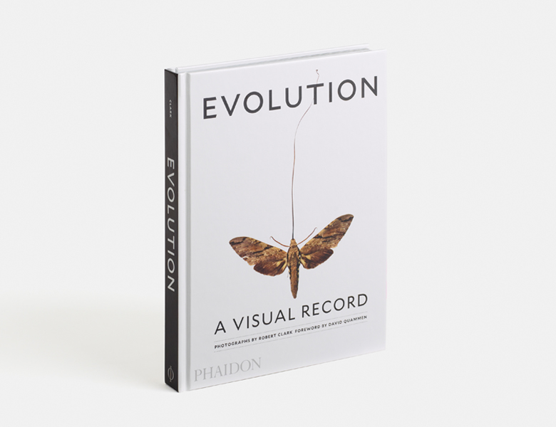 Evolution: A Visual Record