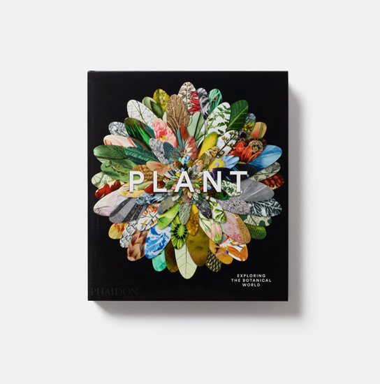 The cover of Plant: Exploring the Botanical World