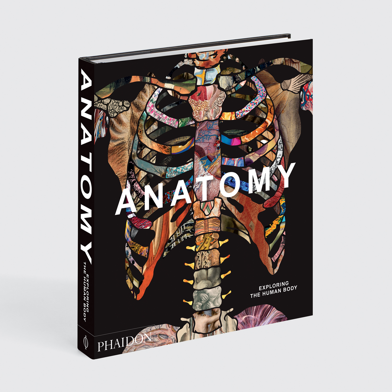 Anatomy: Exploring the Human Body