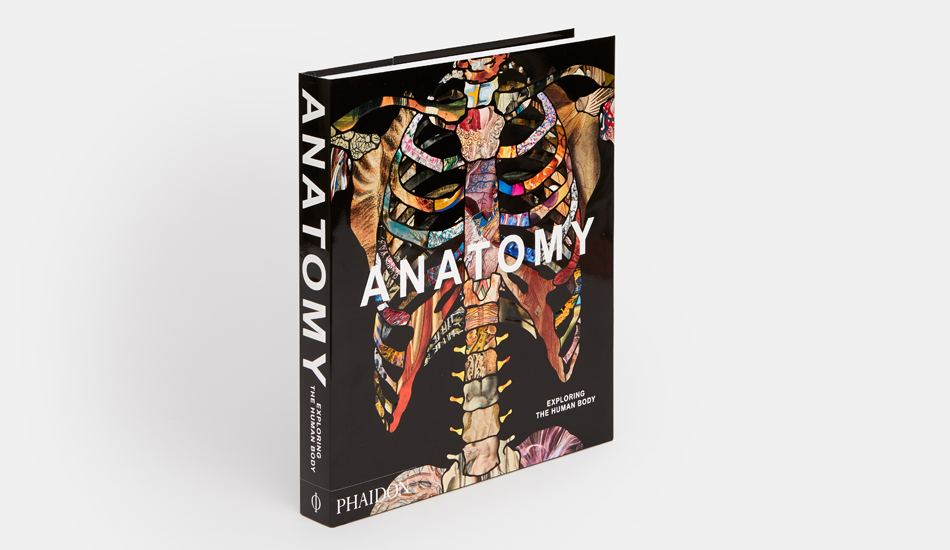 Anatomy: Exploring the Human Body