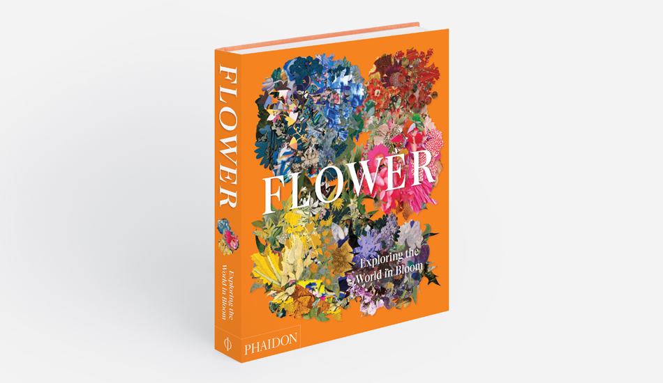 Flower: Exploring the World in Bloom