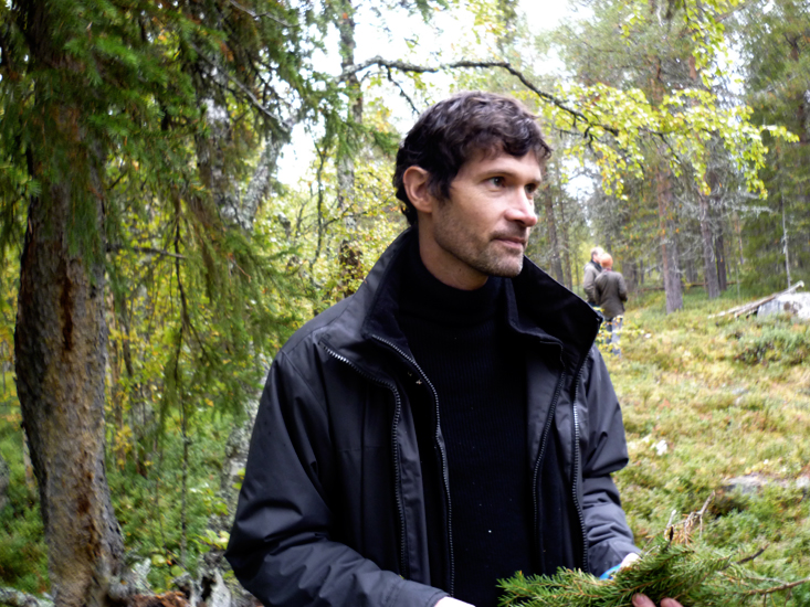 Chef Daniel Patterson collecting pine needles in the forest