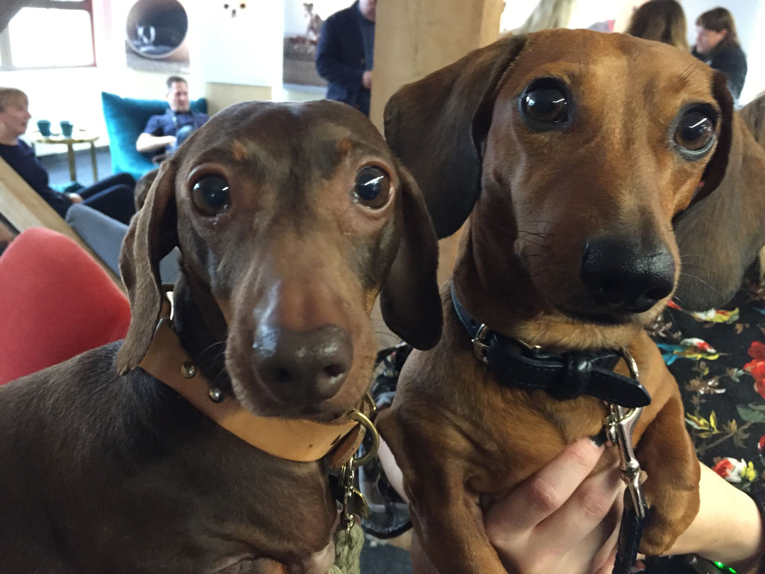 They said there'd be sausages and there were - Charlie and Pops!