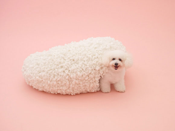 Architecture for the Bichon Frise by Kazuyo Sejima