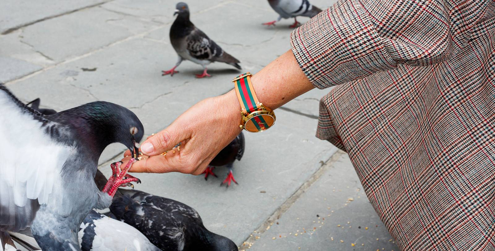 One of Martin Parr's new Internationally themed campaign images for Gucci timepieces. This particular image was taken in Florence, Italy, in 2018. All photos by Martin Parr, courtesy of Gucci