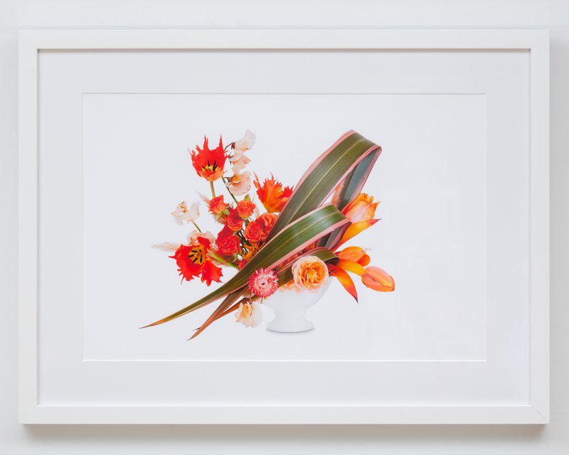 The exclusive Flower Color Theory editions are available as a full suite of six or individually with elegant custom framing