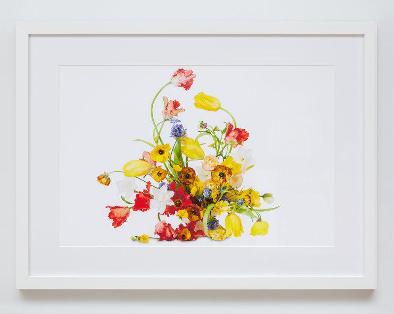 The exclusive Flower Color Theory editions are available as a full suite of six or individually with elegant custom framing